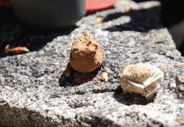 JJ Yosh preparing Cookie Dough in Boulder Colorado